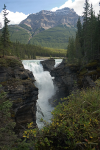 Athabasca Falls (asp05-2928)