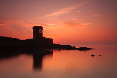 Archirondel, dawn (asp100-1525)