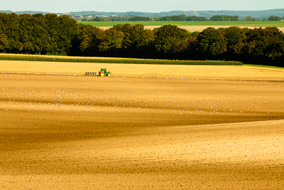 Working the land (asp100-2249)