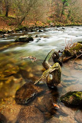 Watersmeet (asp11-9006)
