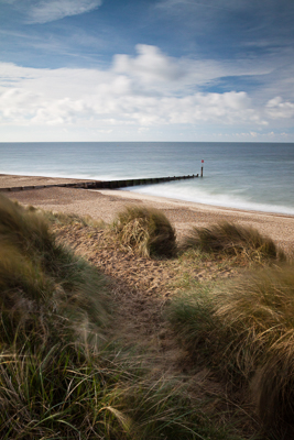 Hengistbury Head grass & groyne (asp121-05-9669)