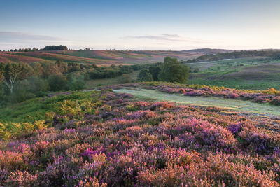 Rockford Common (asp123-08-0032)