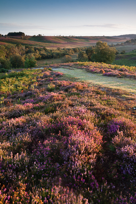 Rockford Common (asp123-08-0038)