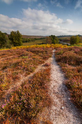 Old Way, New Way (asp125-08-0400)