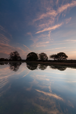 Dawn Reflections, Mogshade (asp126-04-0490)