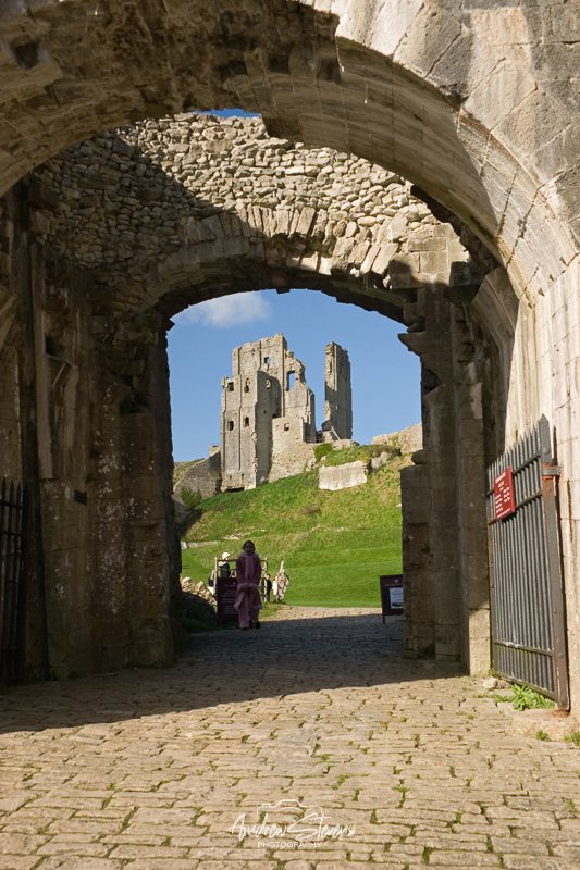 Corfe Castle (asp05-1471)