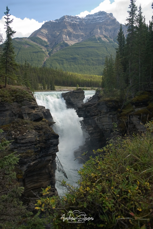 Athabasca (asp05-2928)