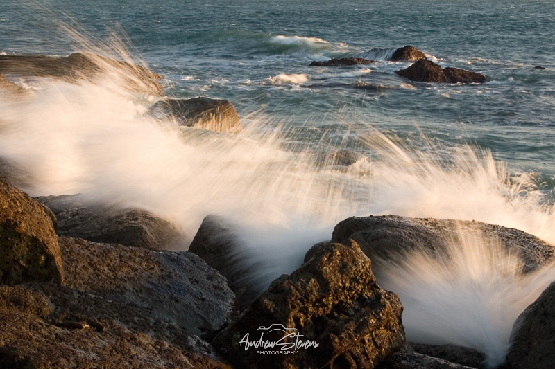 Portland (asp06-3351)