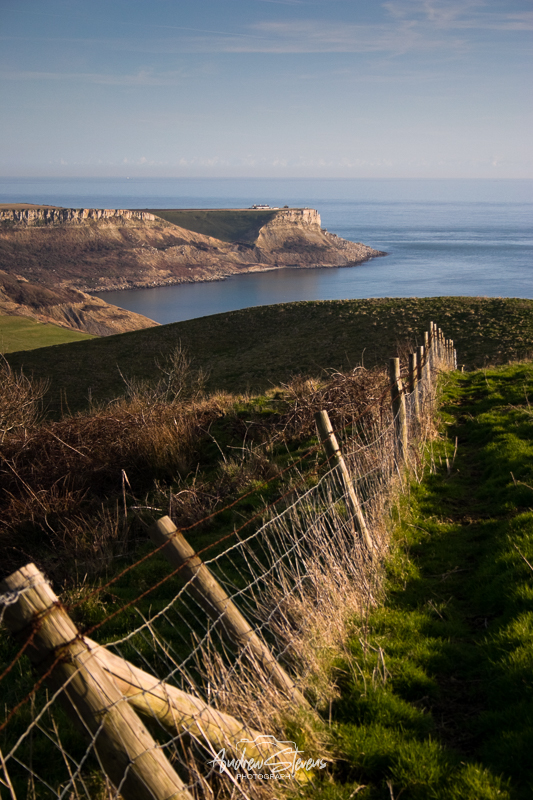 St Aldhem's Head (asp06-3559)