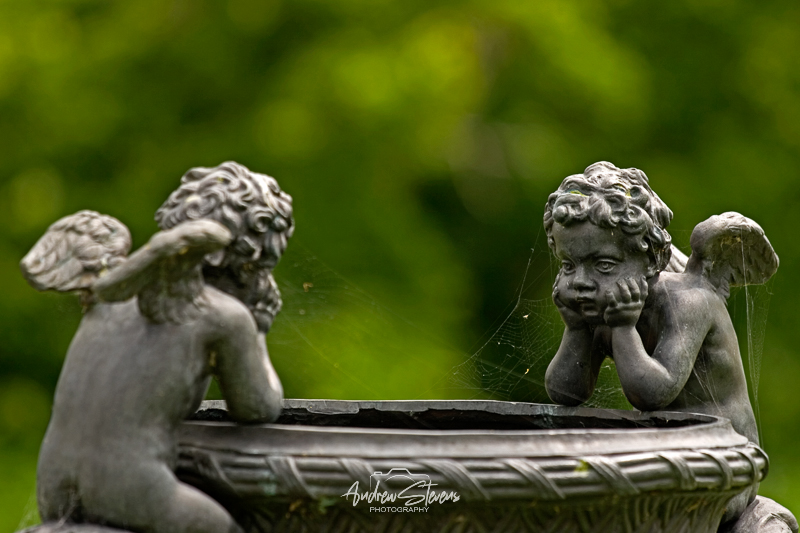 Kingston Lacy (asp07-5467)