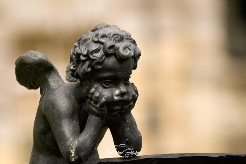 Kingston Lacy (asp07-5470)