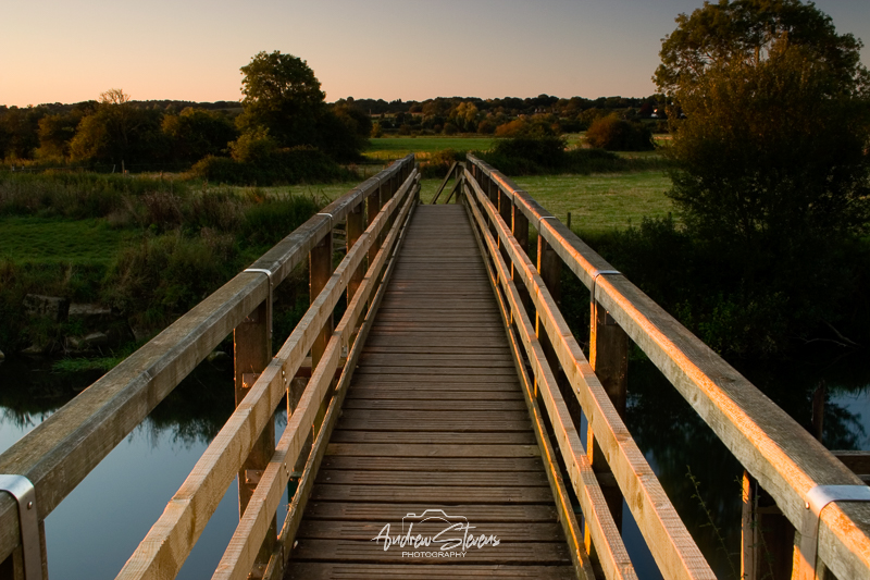 Eyebridge (asp07-5884)