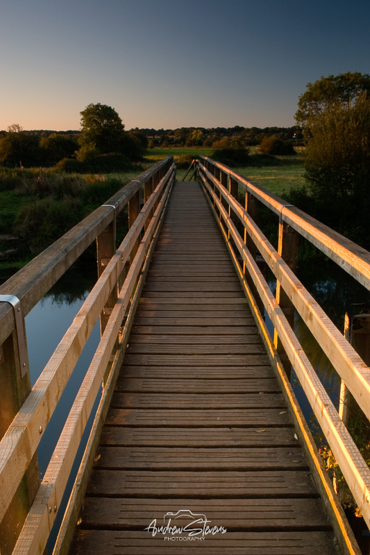 Eyebridge (asp07-5889)