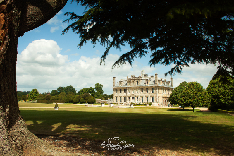 Kingston Lacy (asp100-0206)