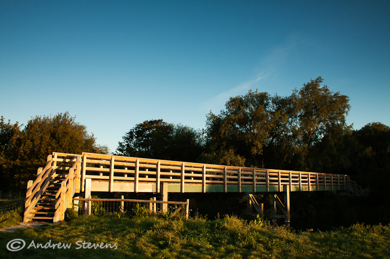 Eyebridge (asp100-0225)