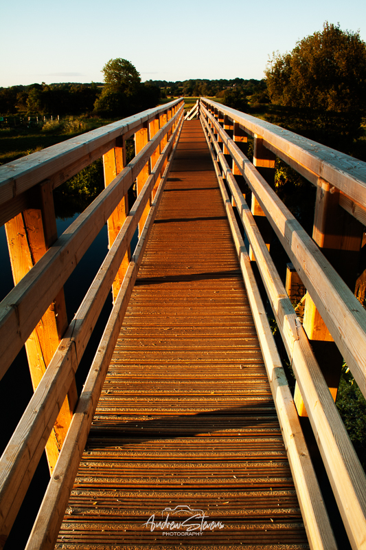 Eyebridge (asp100-0230)