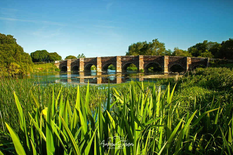 Sturminster Marshall bridge (asp100-0258)