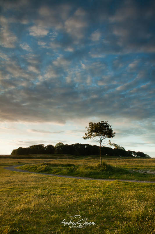 Badbury Rings (asp100-0303)