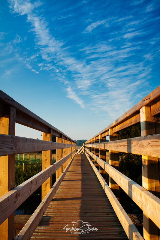 Eyebridge (asp100-1241)