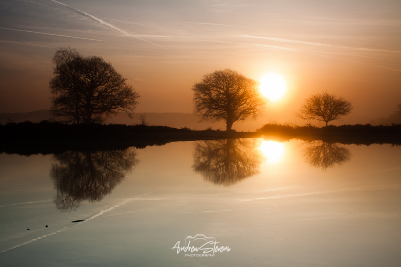 Mogshade Reflections 3 (asp100-3157)