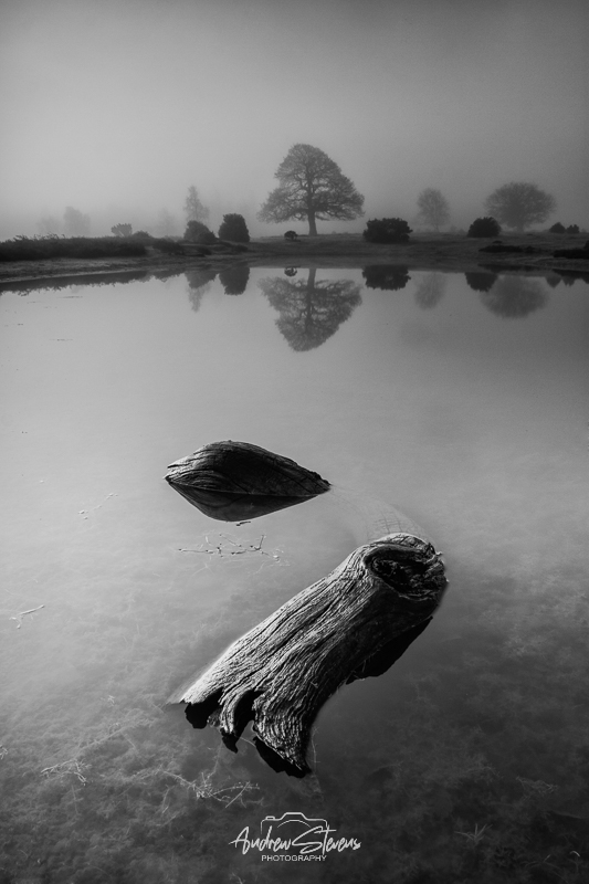 Misty Mogshade B&W (asp100-3160)