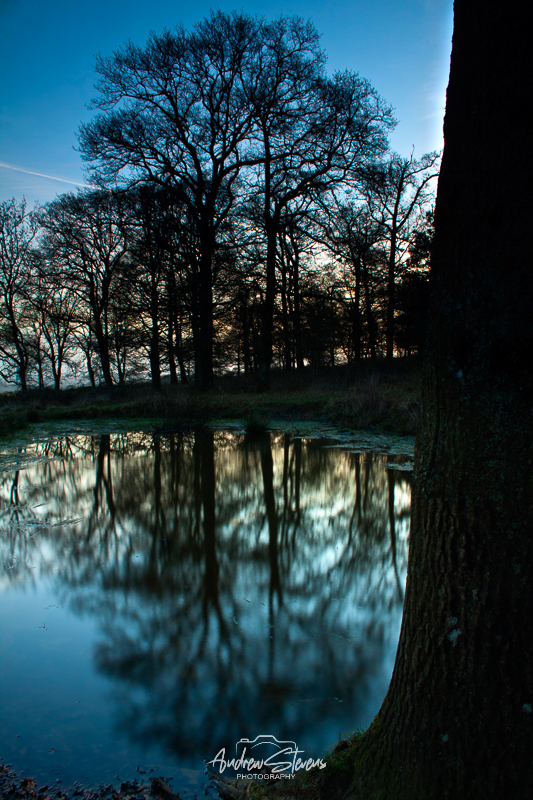 Badbury Rings (asp11-9274)