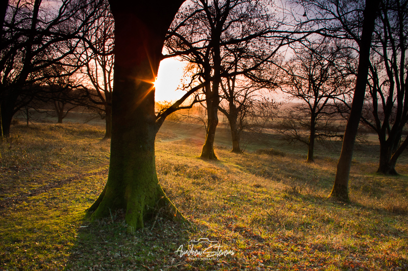 Badbury Rings (asp11-9280)