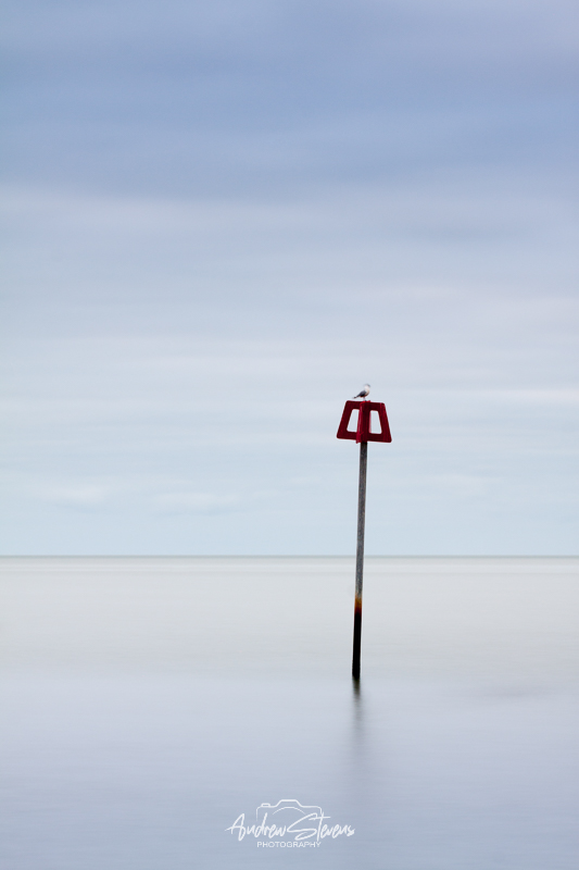 Wonky (asp123-02-9970)