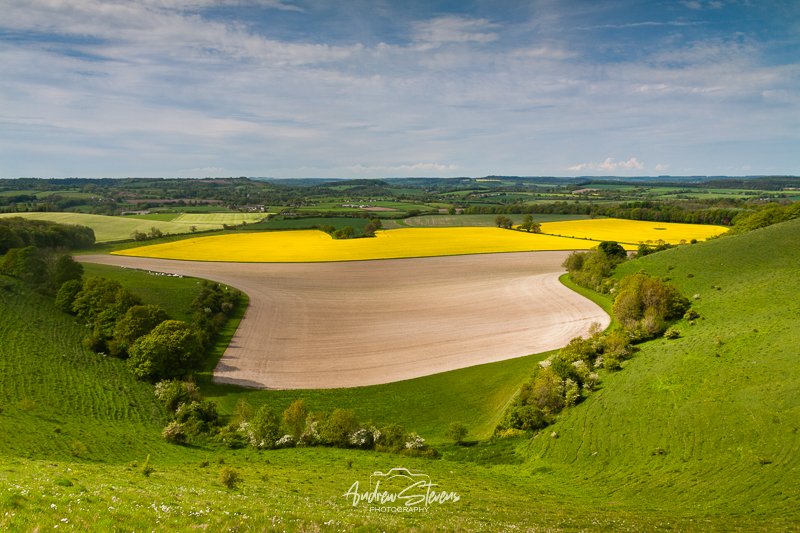 cranborne chase (asp123-05-9952)
