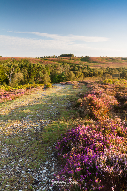 rockford common path2 (asp123-08-0049)