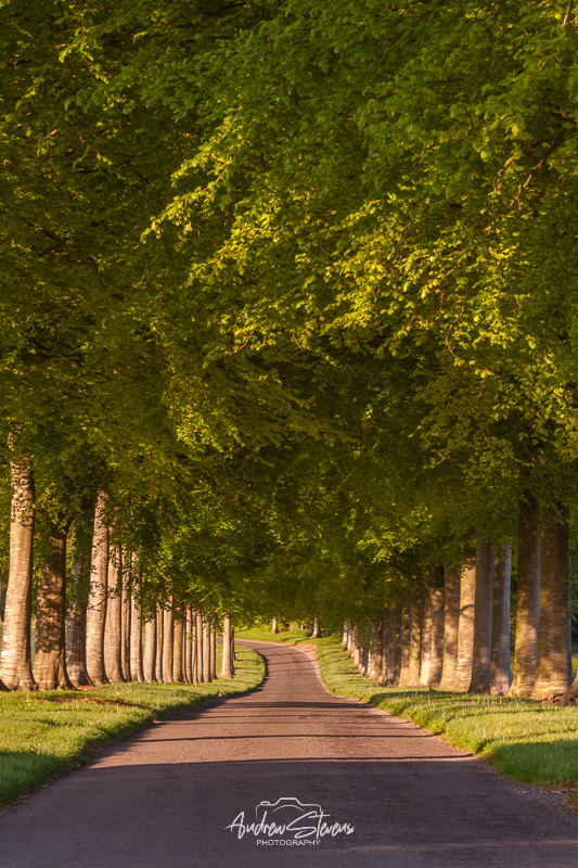 moor crichel (asp125-05-0332)